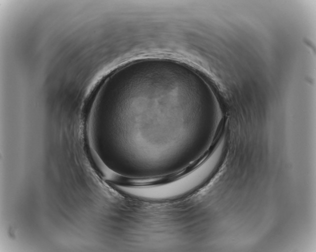 X0000091541506200708171232