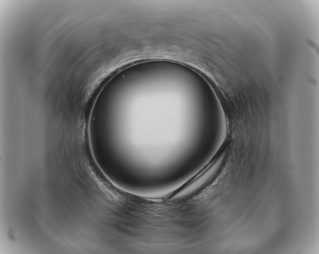 X0000091541507200708171232