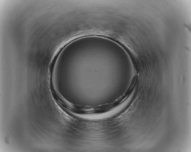 X0000091541508200708171232