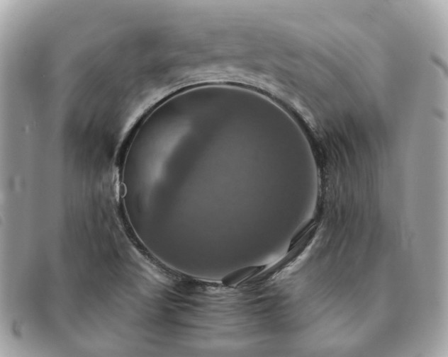 X0000091541509200708171232
