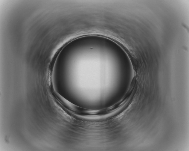 X0000091541510200708171232