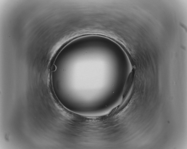 X0000091541511200708171232
