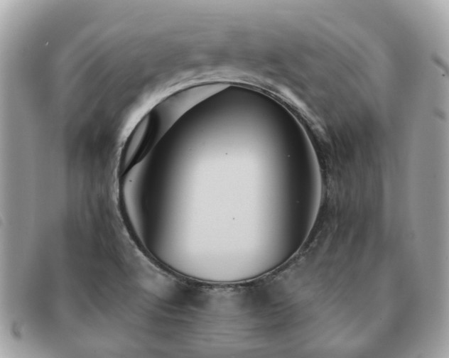 X0000091541512200708171232