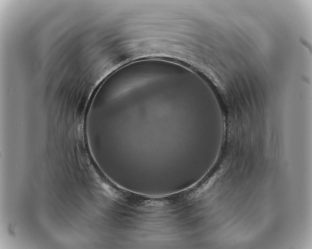 X0000091541513200708171232