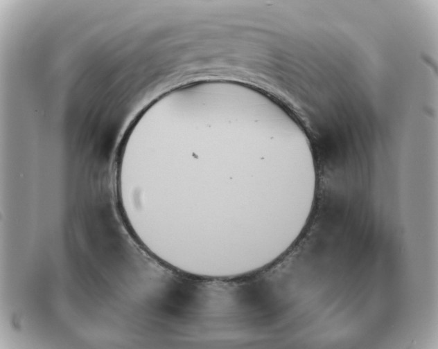 X0000091541514200708171232