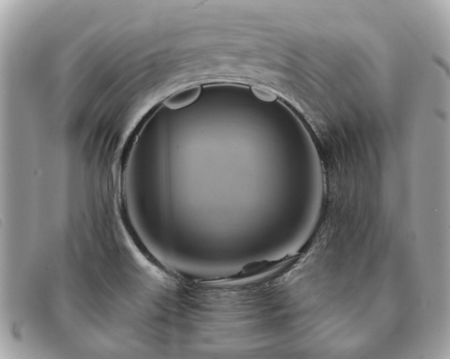 X0000091541515200708171232