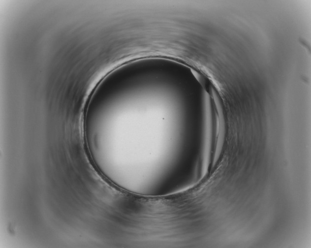 X0000091541516200708171232