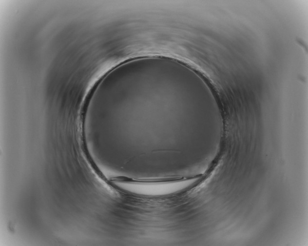 X0000091541517200708171232