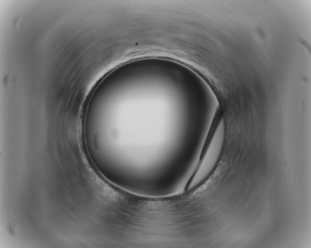 X0000091541518200708171232