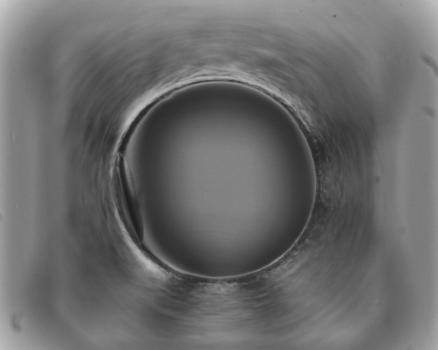 X0000091541519200708171232