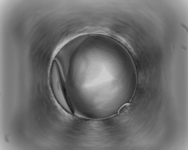X0000091541520200708171232