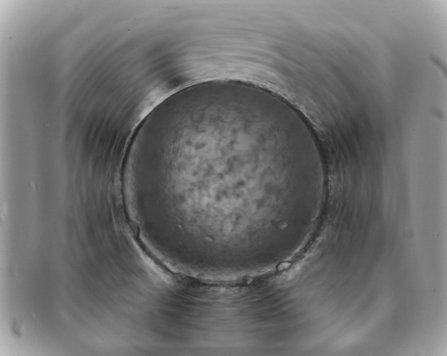 X0000091541521200708171232