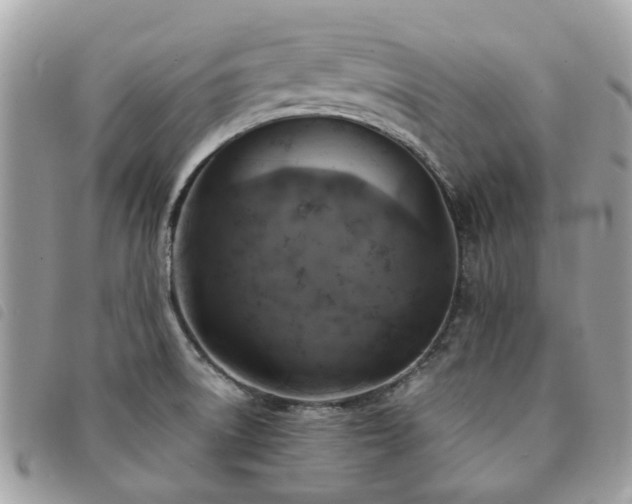 X0000091541522200708171232