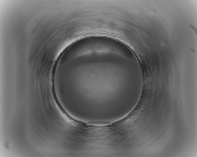 X0000091541523200708171232