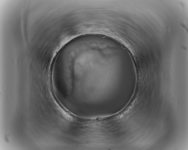X0000091541525200708171232