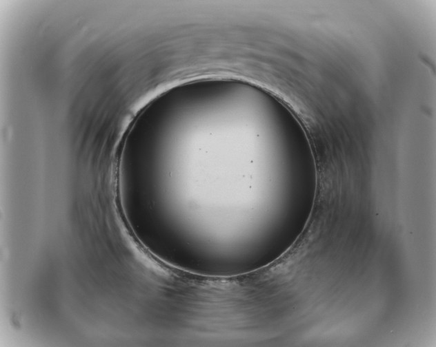 X0000091541526200708171232