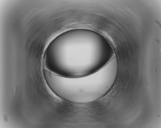 X0000091541528200708171232