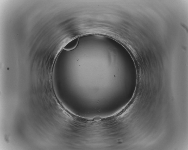 X0000091541529200708171232