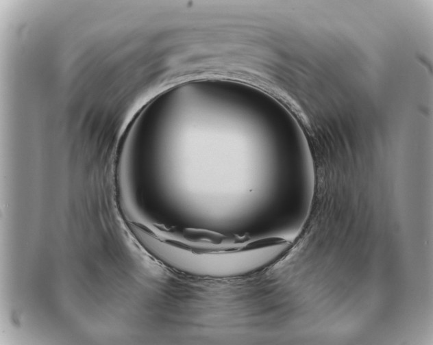 X0000091541530200708171232