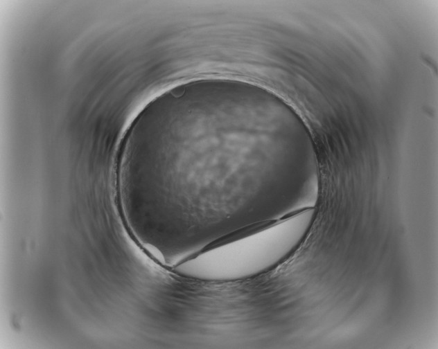 X0000091541531200708171232