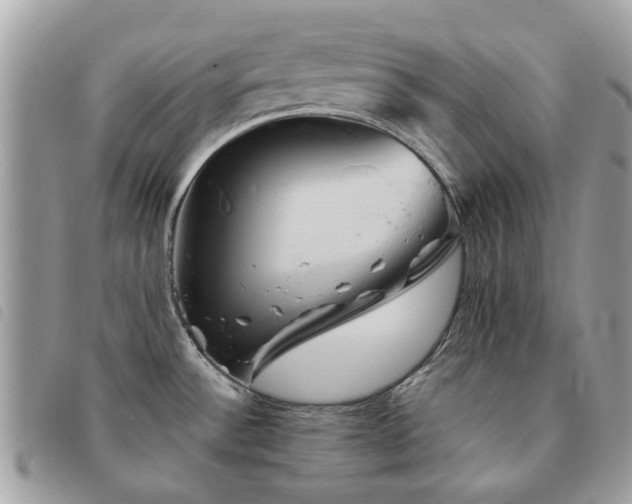 X0000091541532200708171232