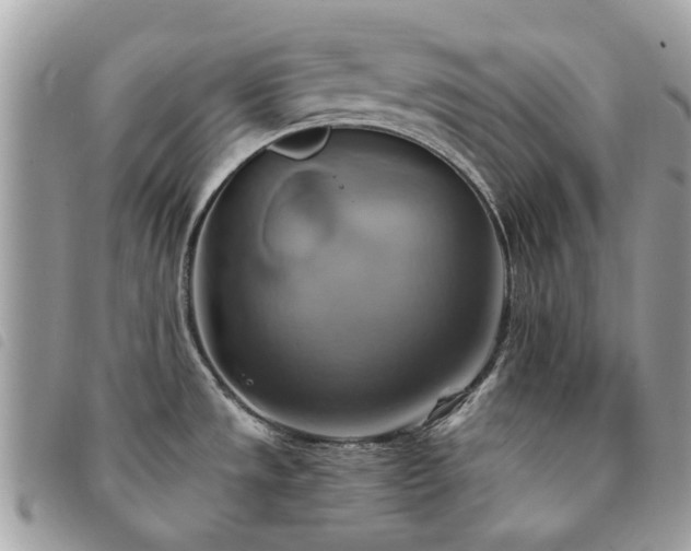X0000091541533200708171232