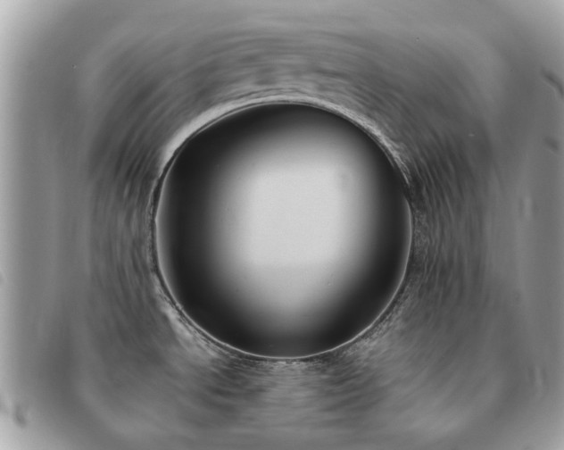X0000091541534200708171232