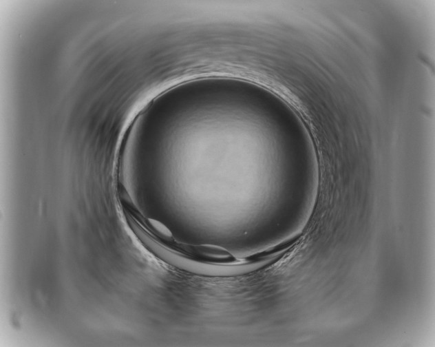 X0000091541536200708171232
