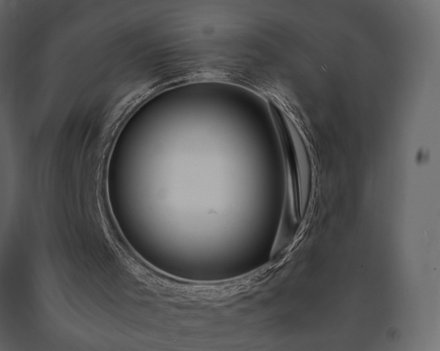 X0000091540001200708241744