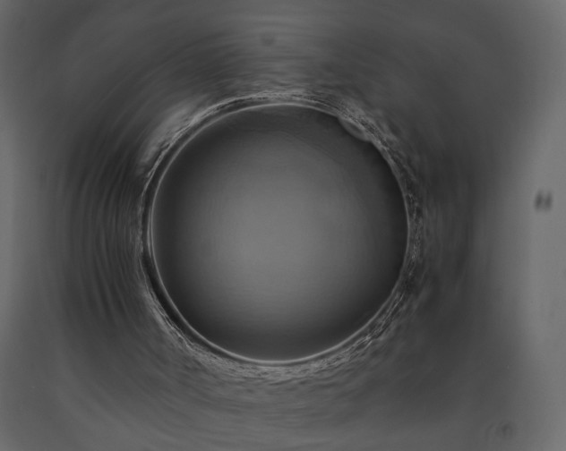 X0000091540002200708241744