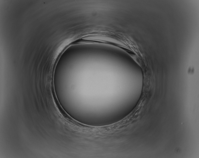 X0000091540003200708241744