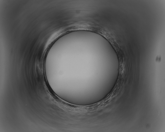 X0000091540004200708241744