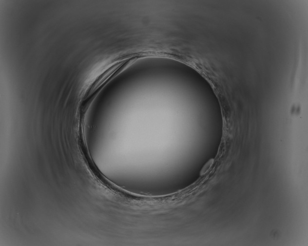 X0000091540005200708241744