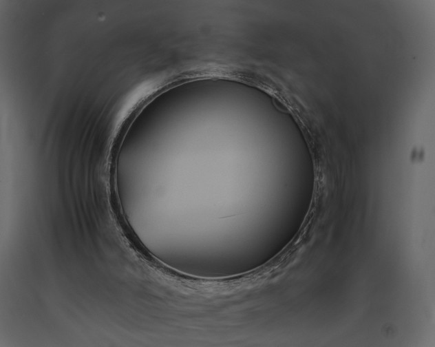 X0000091540006200708241744