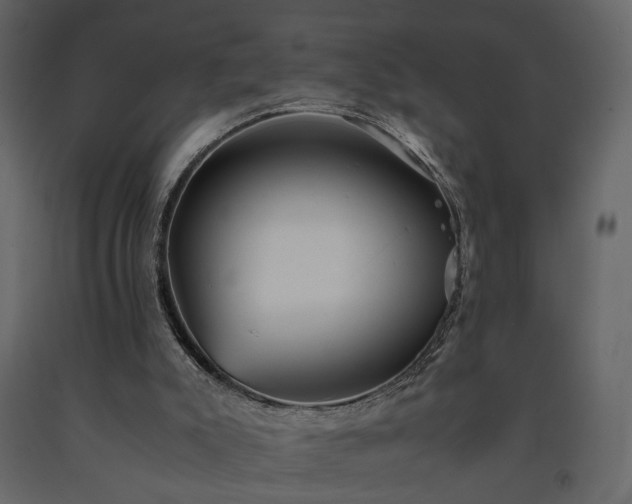 X0000091540007200708241744
