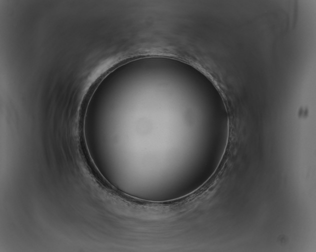 X0000091540008200708241744