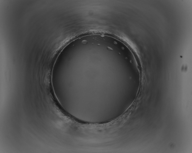 X0000091540009200708241744