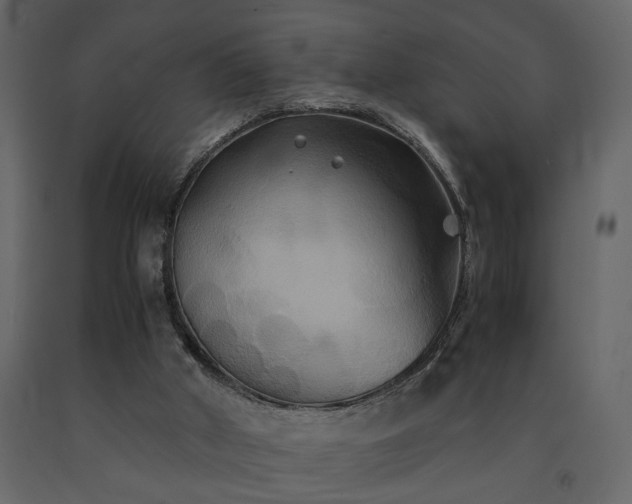 X0000091540010200708241744