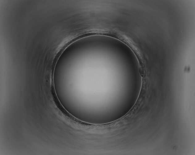 X0000091540011200708241744