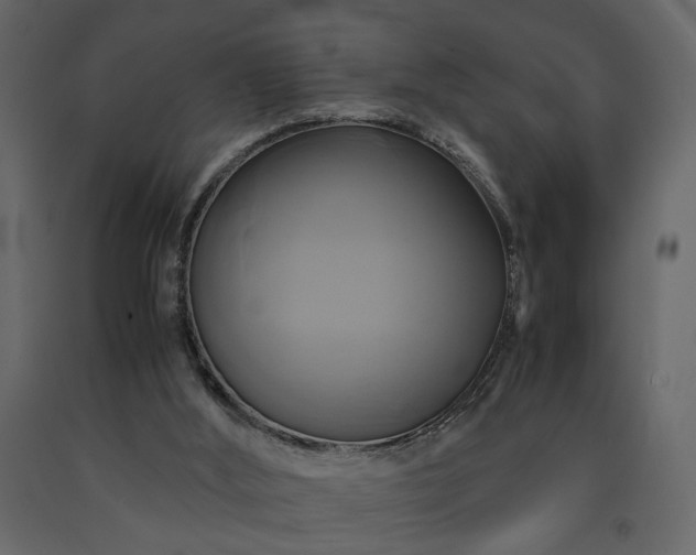 X0000091540012200708241744
