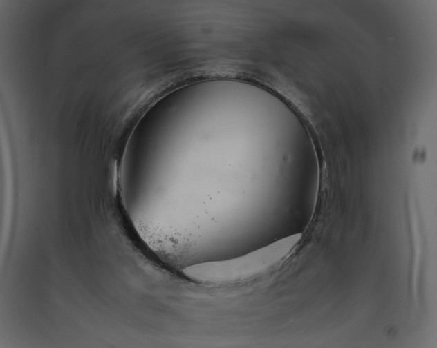 X0000091540013200708241744