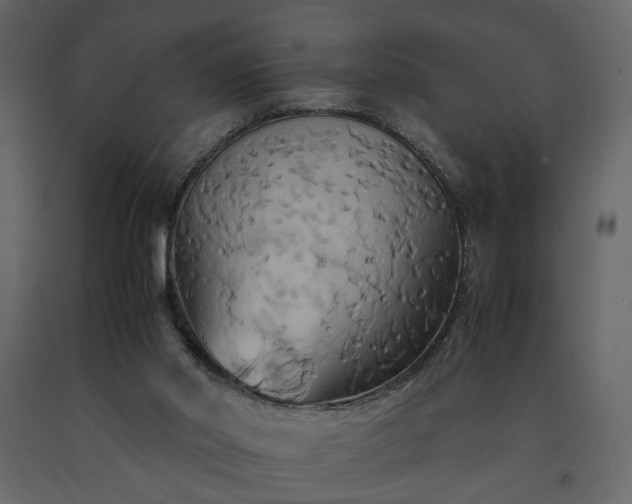 X0000091540014200708241744