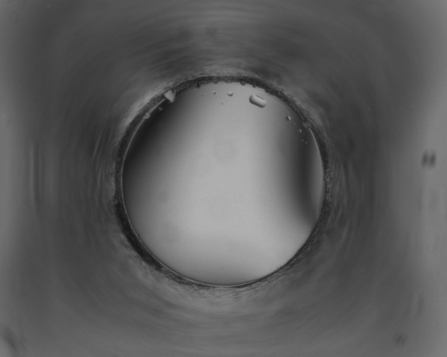X0000091540015200708241744