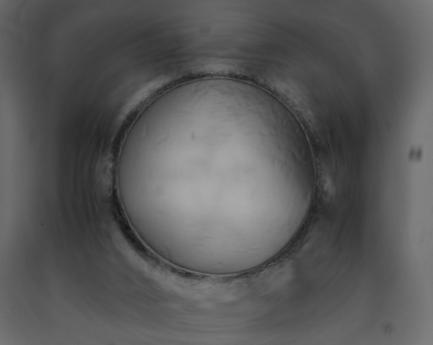 X0000091540016200708241744