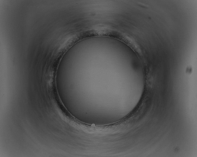 X0000091540018200708241744