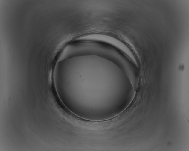 X0000091540019200708241744