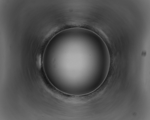 X0000091540020200708241744