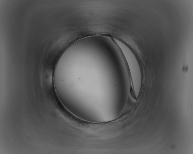 X0000091540021200708241744