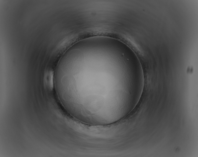 X0000091540022200708241744