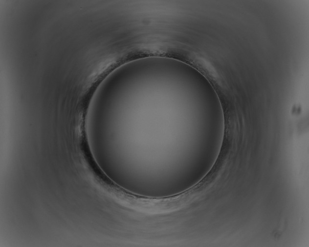 X0000091540023200708241744
